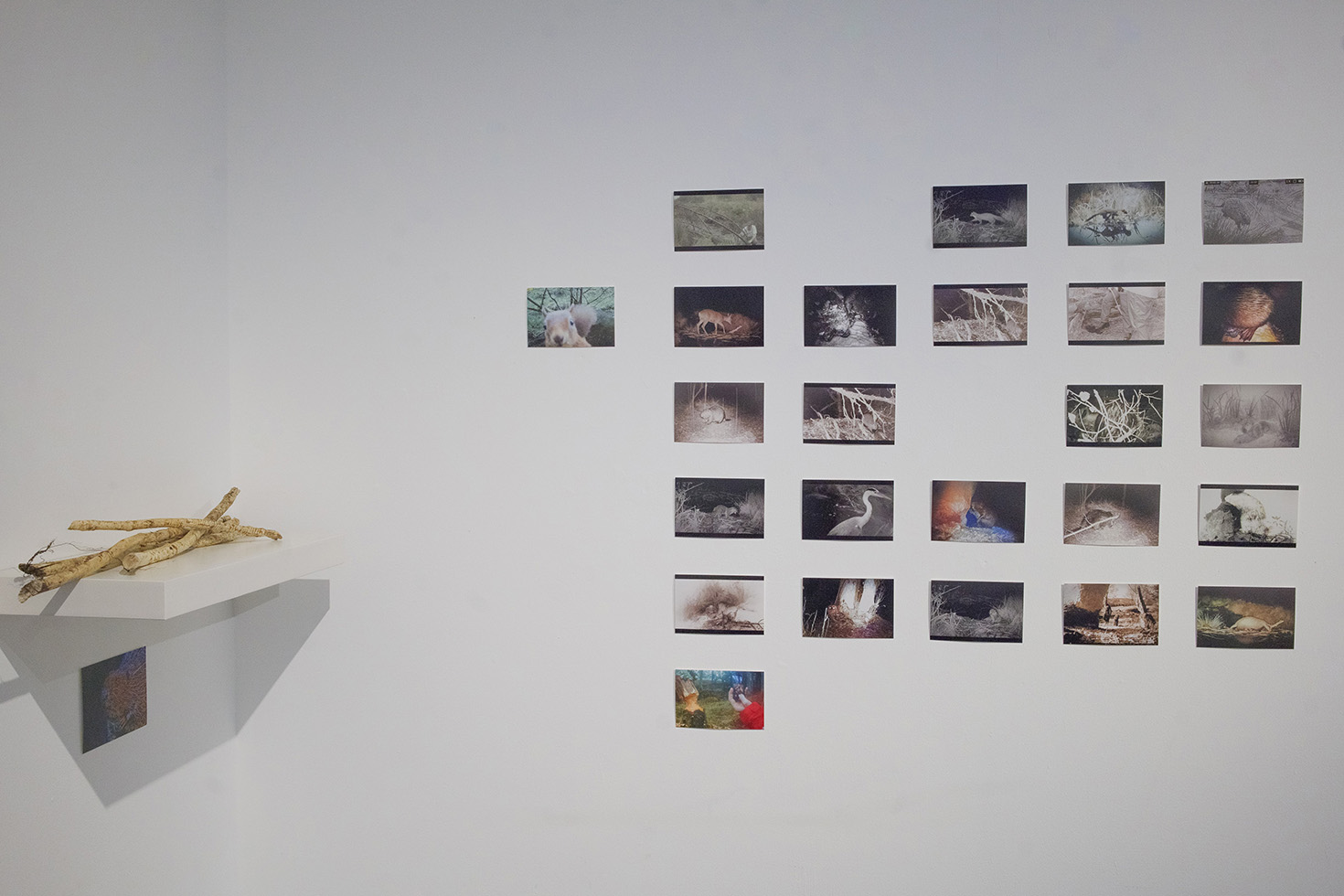 Installation view – The Barn