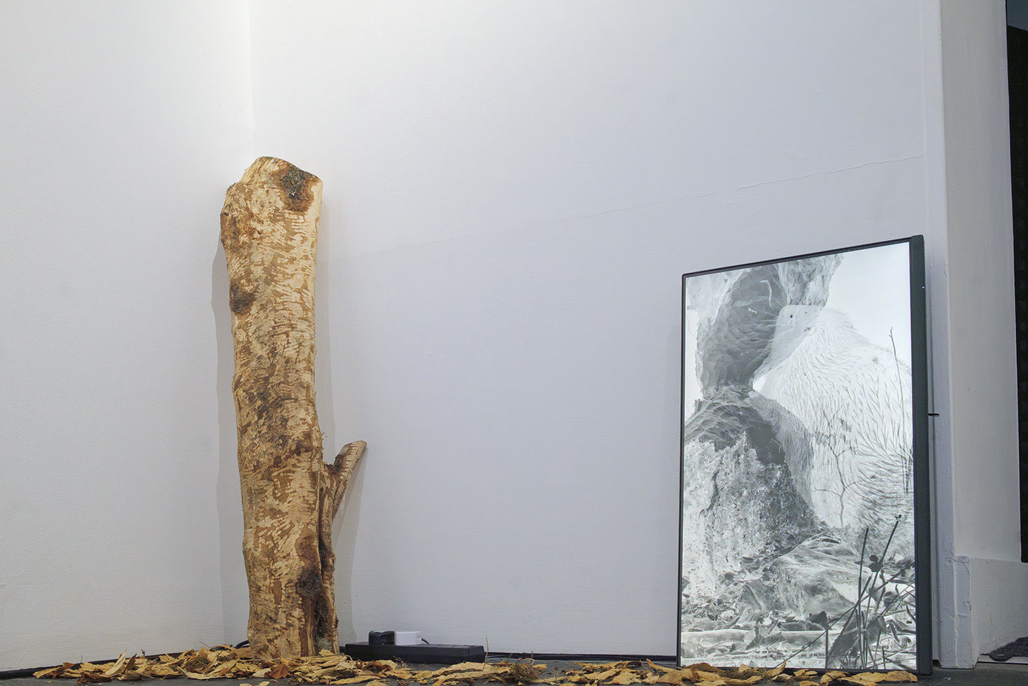 Installation view