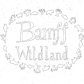 Bamff Wildland